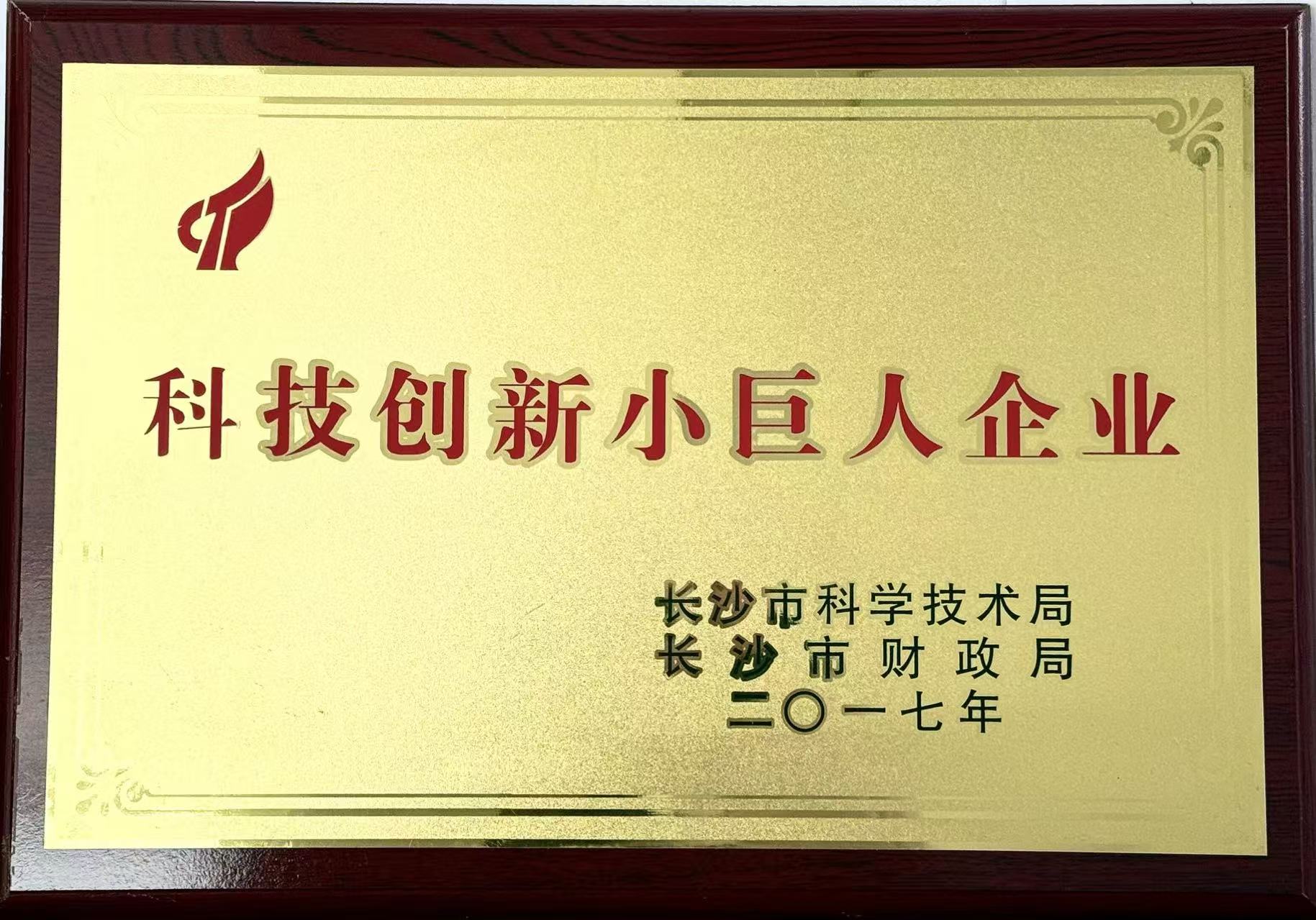 科技創(chuàng)新小巨人企業(yè)